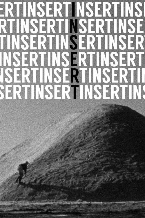 Insert (2010) poster