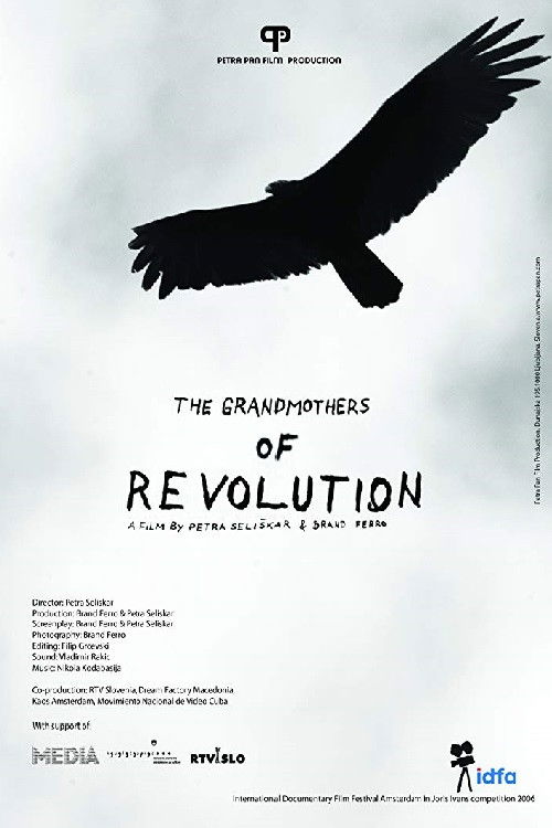 Babice revolucije (2006) poster