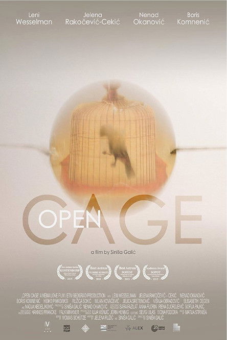 Open Cage (2015) poster