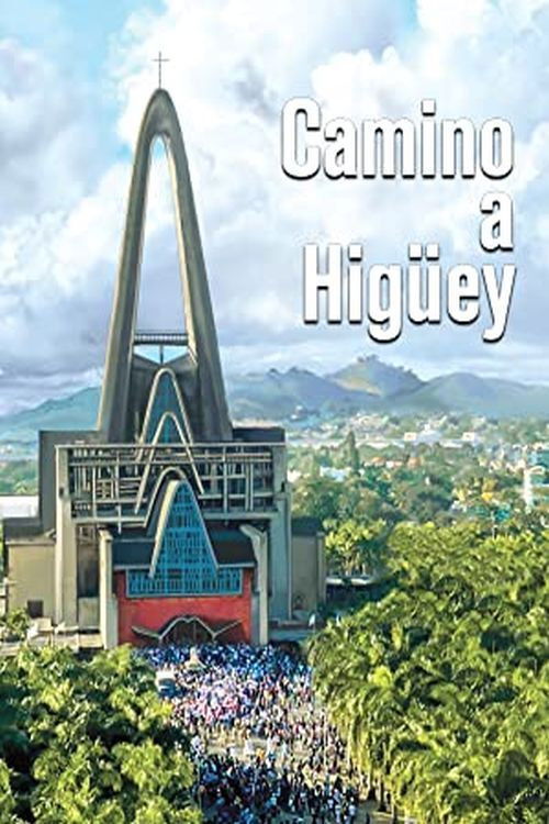 Camino a Higüey (2016) poster