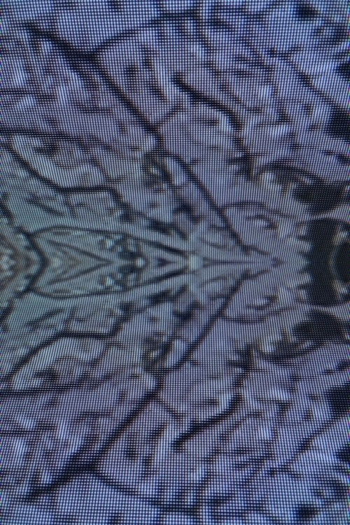 Canticles (2019) poster