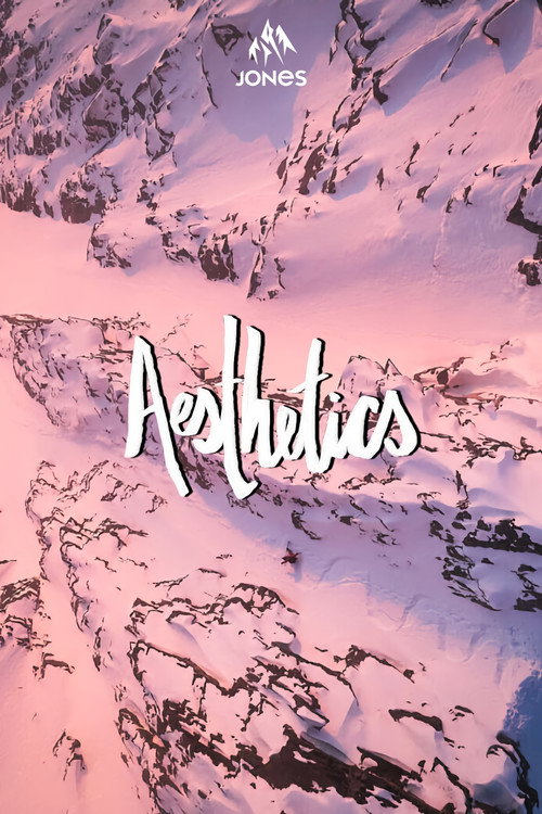 Aesthetics (2024) poster