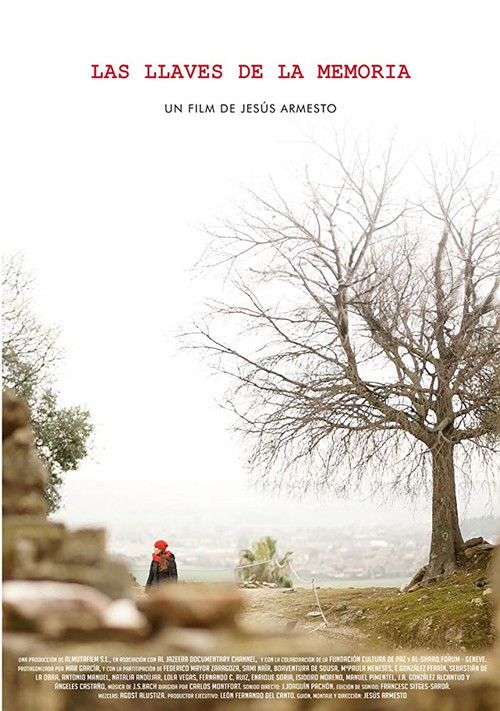 Las llaves de la memoria (2016) poster