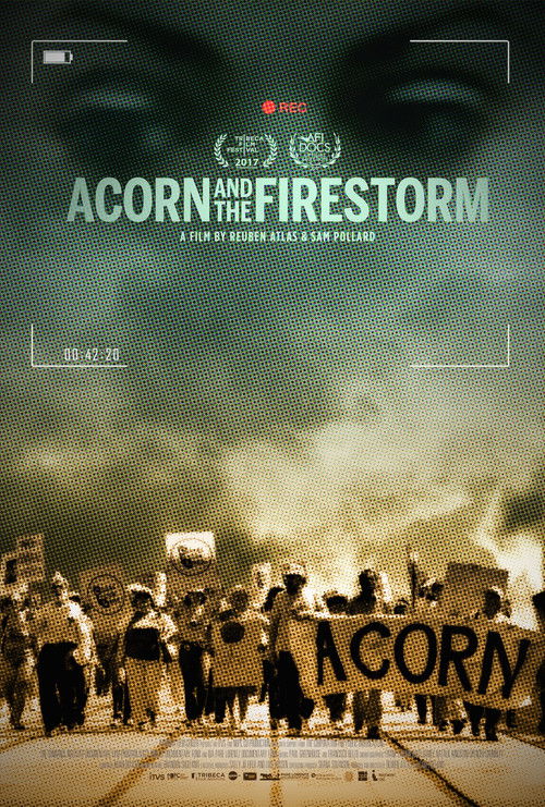 Acorn and the Firestorm (2017) poster