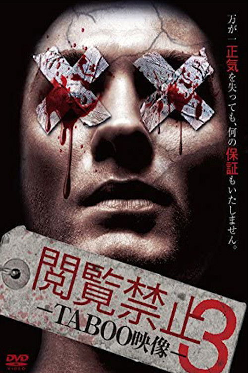 Viewing Prohibited 3 TABOO Video (2014) poster