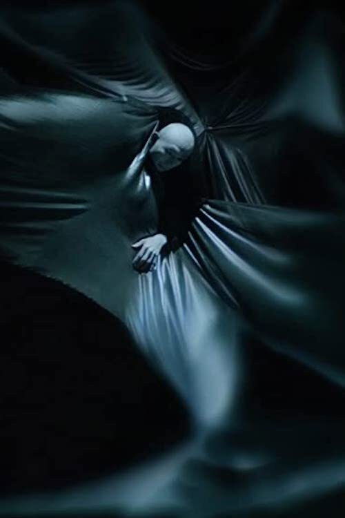 Singularity Song (2017) poster