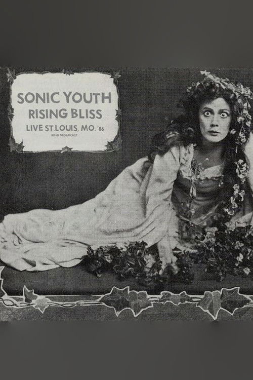 Sonic Youth: Mississippi Nights, St. Louis (1986) poster