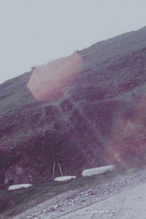 Fforest Bay II (1973) poster