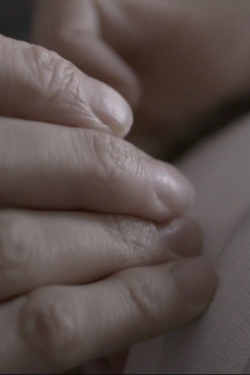 Question Period (2019) poster