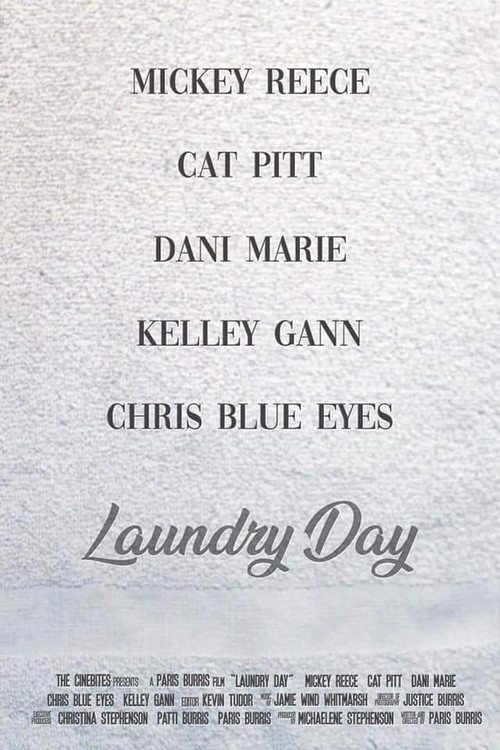 Laundry Day poster