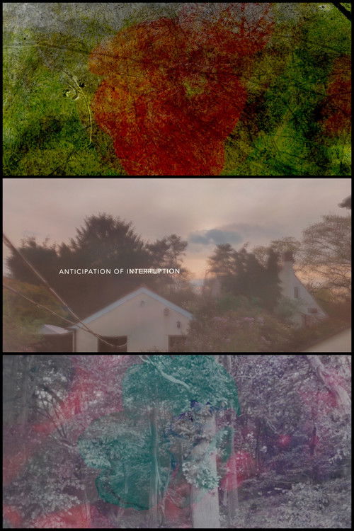 Anticipation of Interruption poster