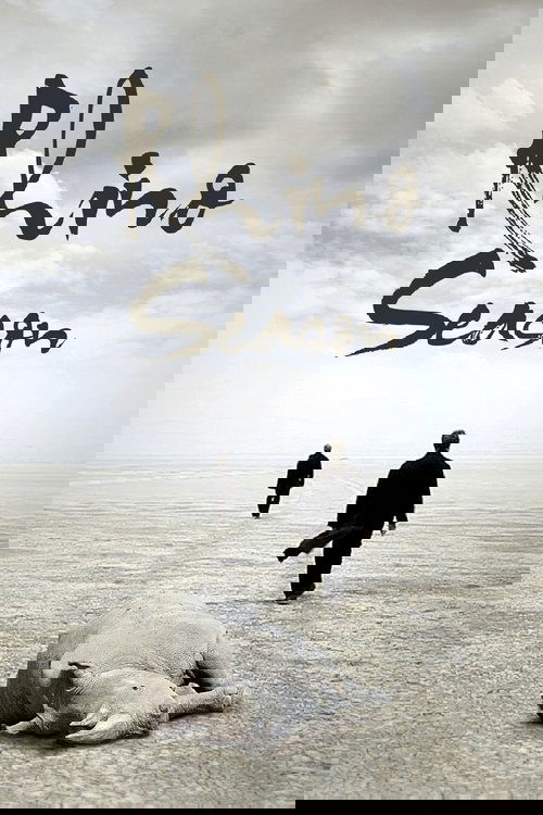 Gergedan Mevsimi (2012) poster