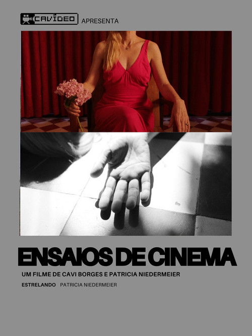 Ensaios de Cinema (2025) poster
