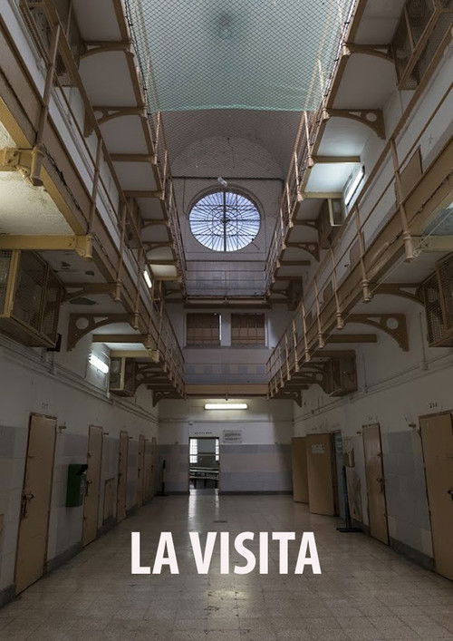 La Visita (2026) poster