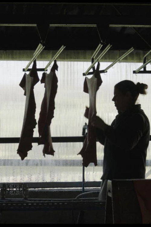 Unskinned (2019) poster