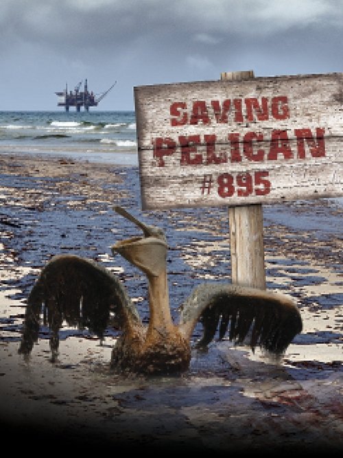 Saving Pelican 895 (2011) poster
