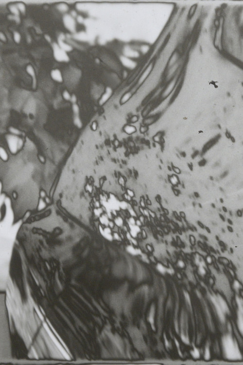 Reflex (2019) poster