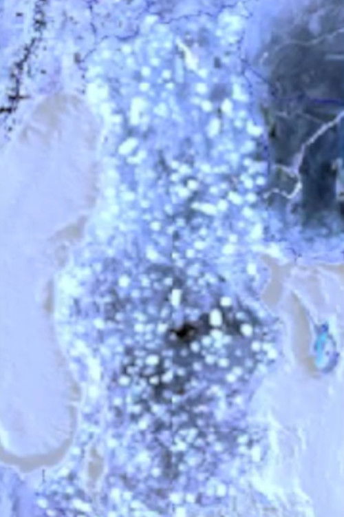 cancer (2011) poster