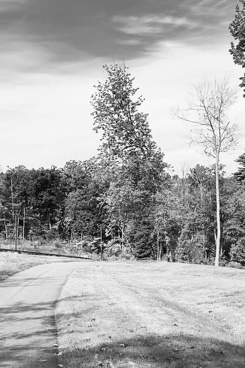 Images of a New Home (2024) poster