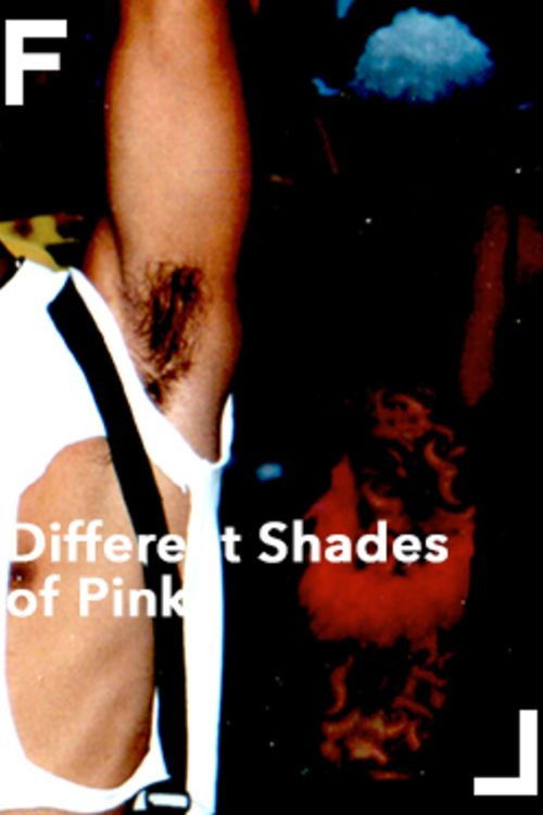 Different Shades of Pink (2001) poster
