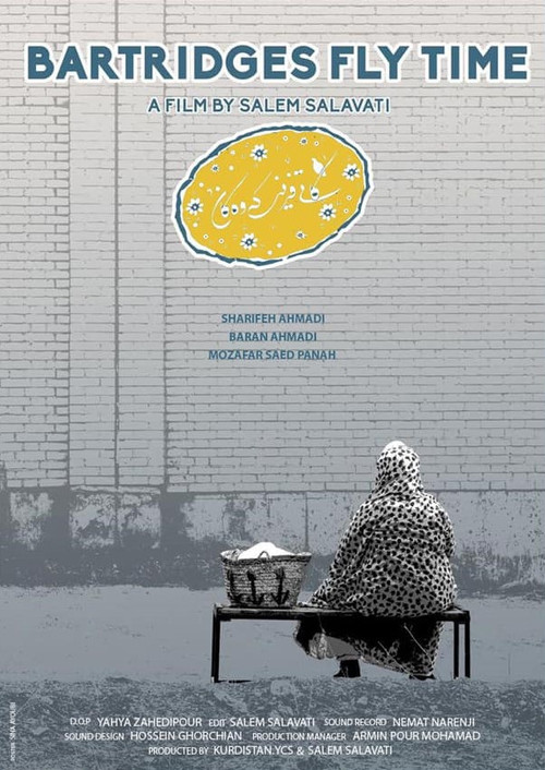 Partridges Fly Time (2023) poster