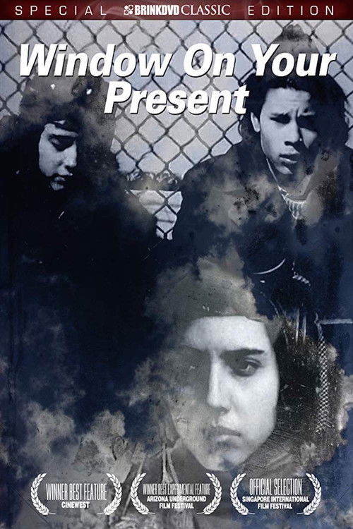 Window on Your Present (1988) poster