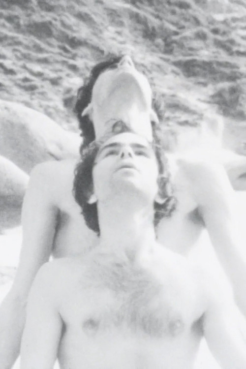 Dansité (1978) poster