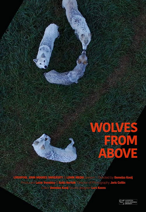Wolves From Above (2017) poster