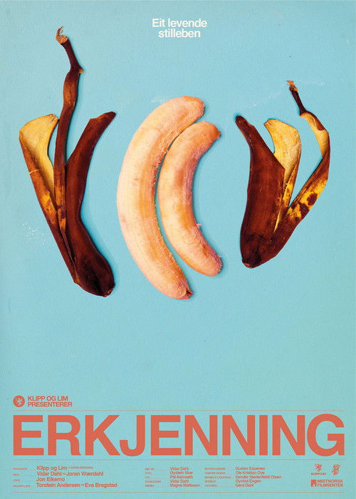 Erkjenning (2011) poster