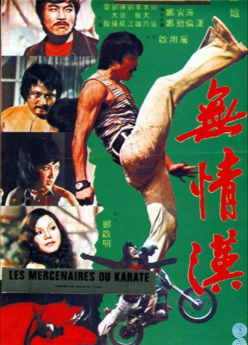 Hong Kong Connection (1973) poster