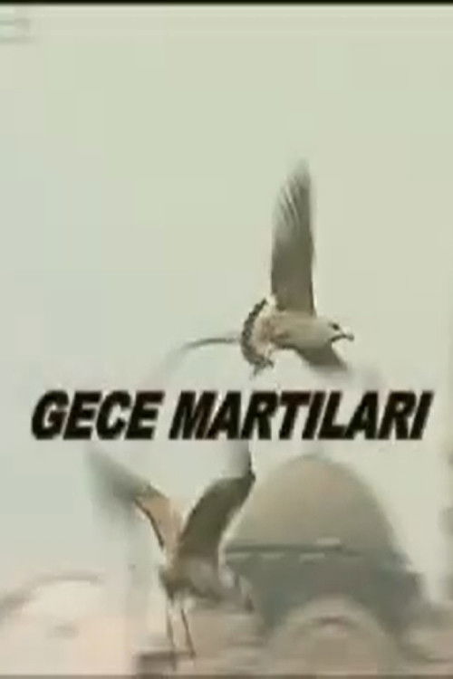 Gece Martıları (2000) poster