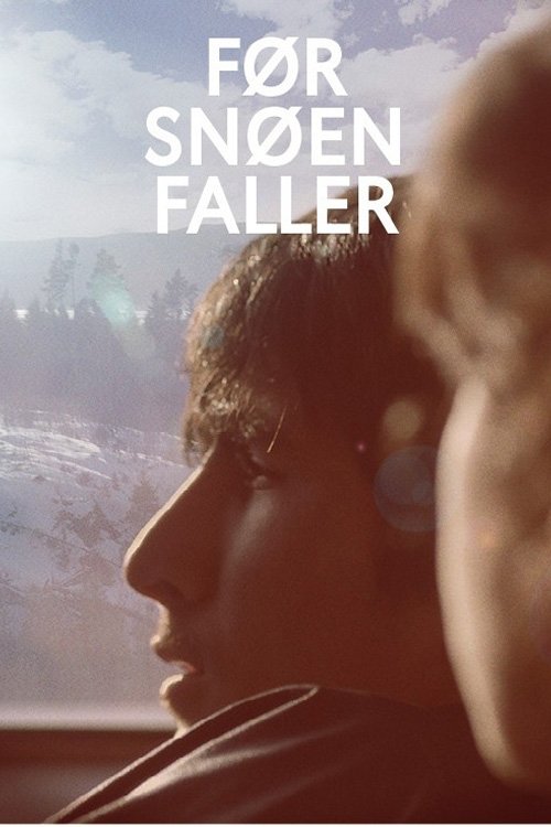 Before Snowfall (2013) poster