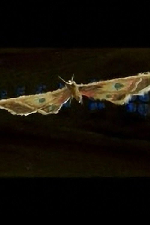 Tooryanse (2004) poster