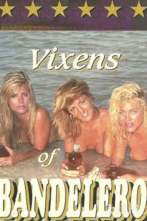 Vixens of Bandelero (1993) poster