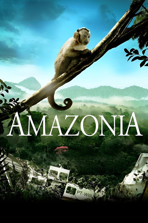 Amazon (2013) poster