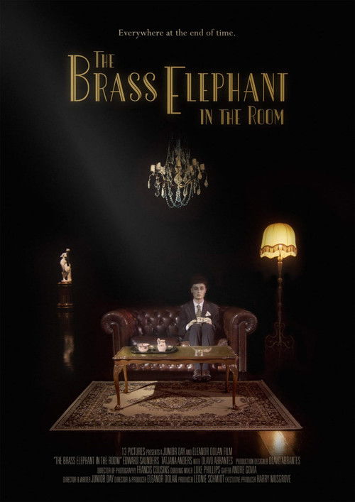 The Brass Elephant in the Room (2020) poster