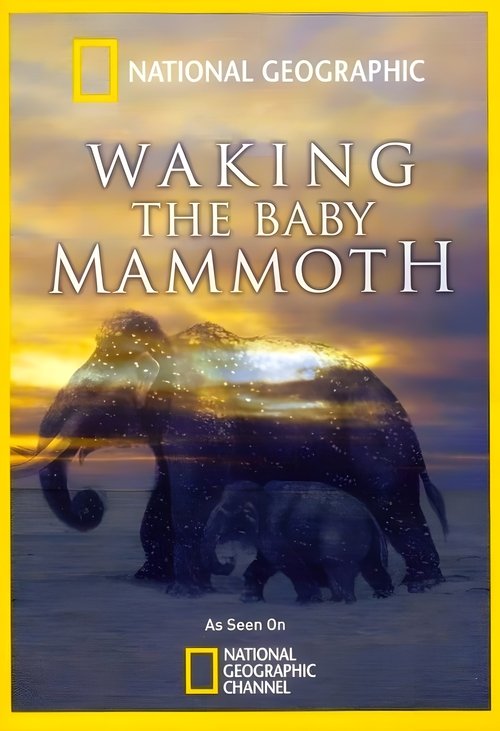 Waking the Baby Mammoth (2009) poster