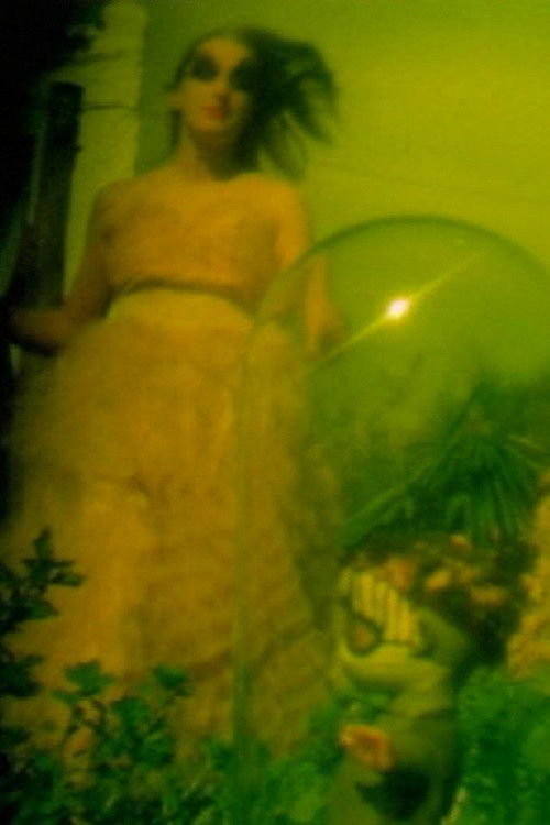 A Cabinet for Daydreams (1970) poster