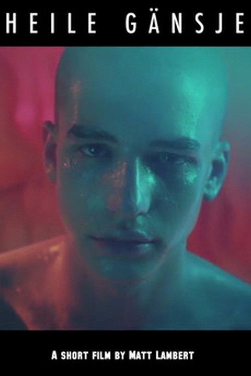 Heal, Goose (2013) poster