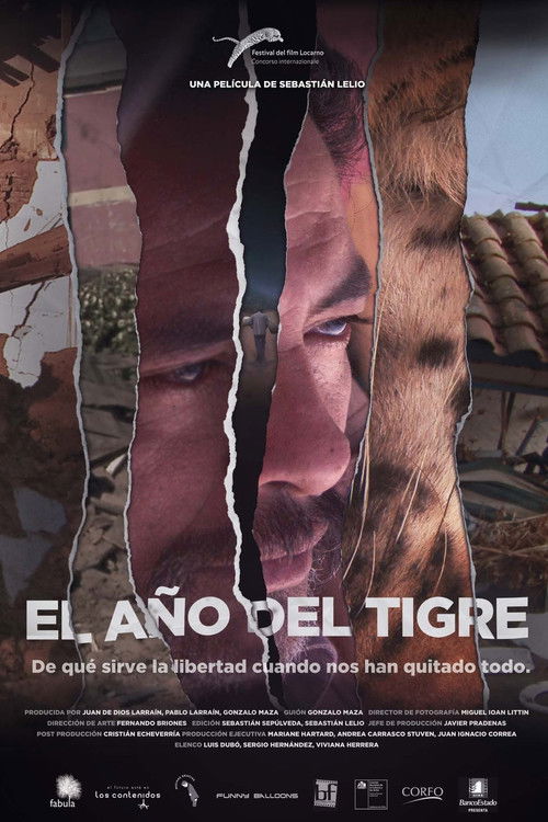 The Year of the Tiger (2013) poster