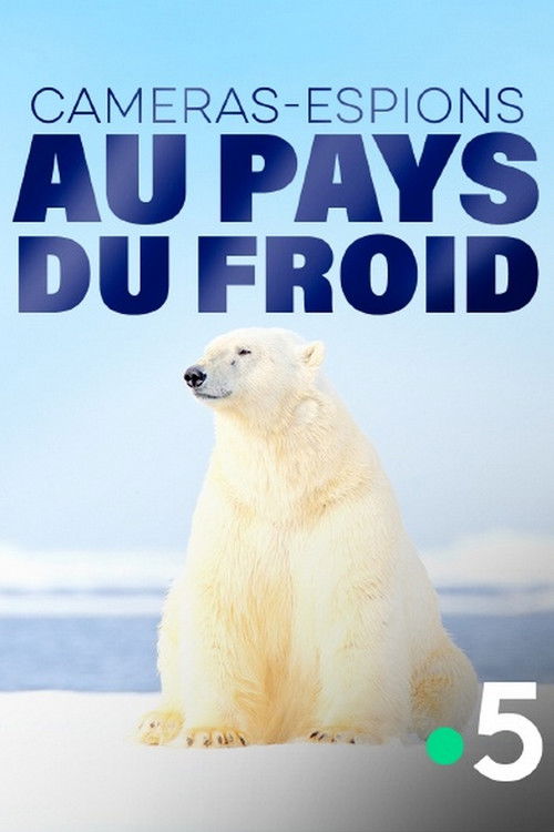 Caméras-espions au pays du froid (2018) poster
