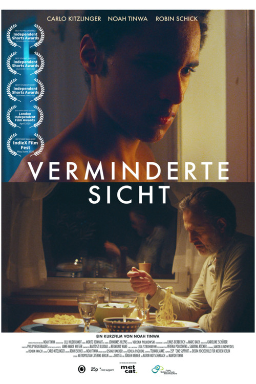 Verminderte Sicht (2020) poster