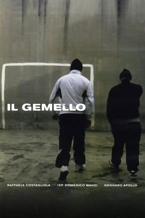 Il gemello (2012) poster