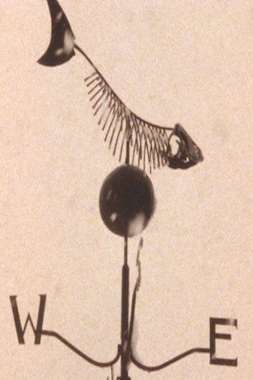 Trout Fly Deep Trout Too (2000) poster