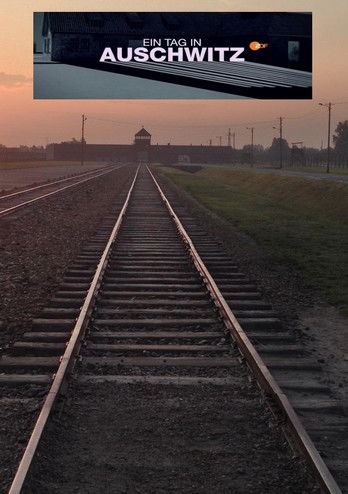 Ein Tag in Auschwitz (2020) poster