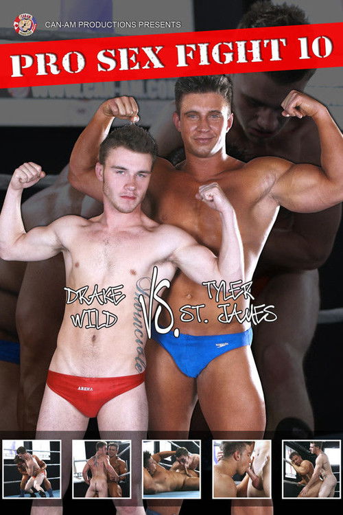 Pro Sex Fight 10 (2012) poster