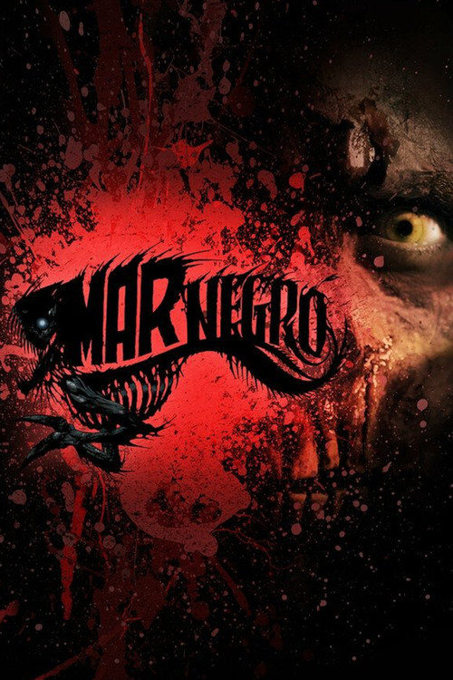 Mar Negro (2013) poster