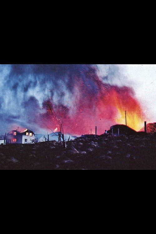 Days of Destruction (1973) poster