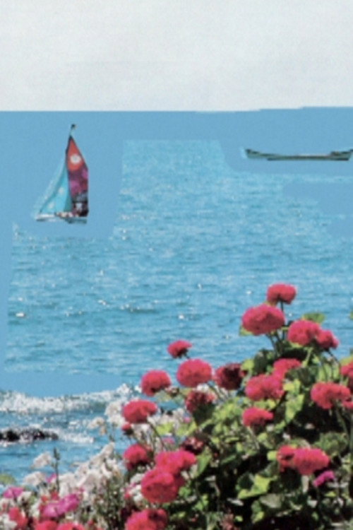 At The Shore poster