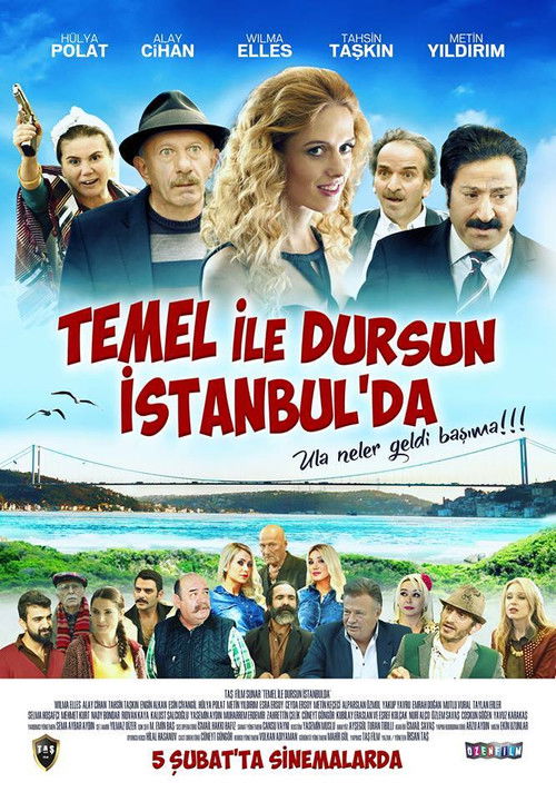 Temel ile Dursun İstanbul'da (2016) poster